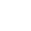icons8-money-bag-pounds-100